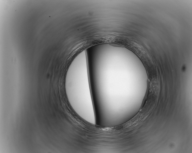 X0000099300092200805020807