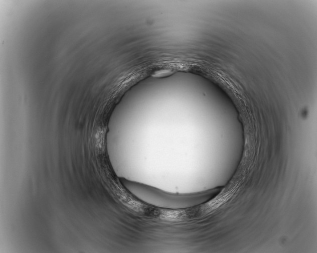 X0000099300096200805020807