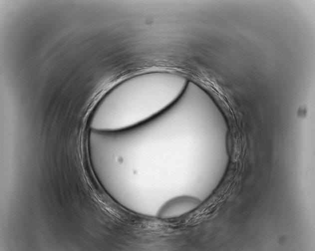 X0000099300098200805020806