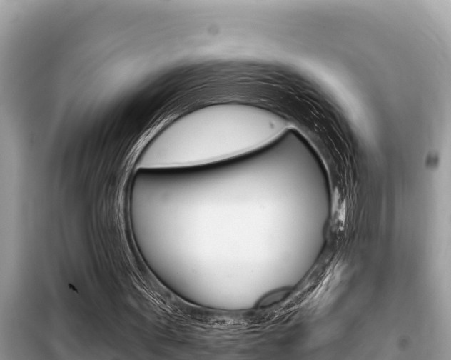 X0000099300099200805020806