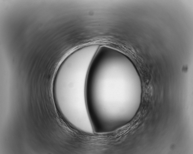 X0000099300100200805020806
