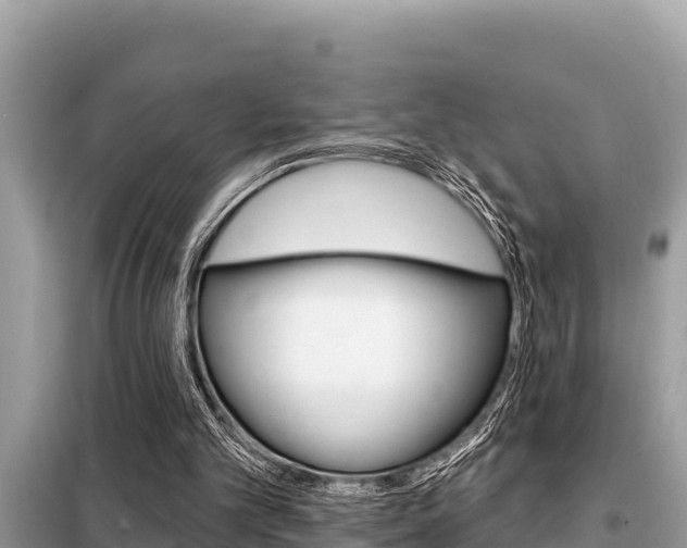 X0000099300101200805020806