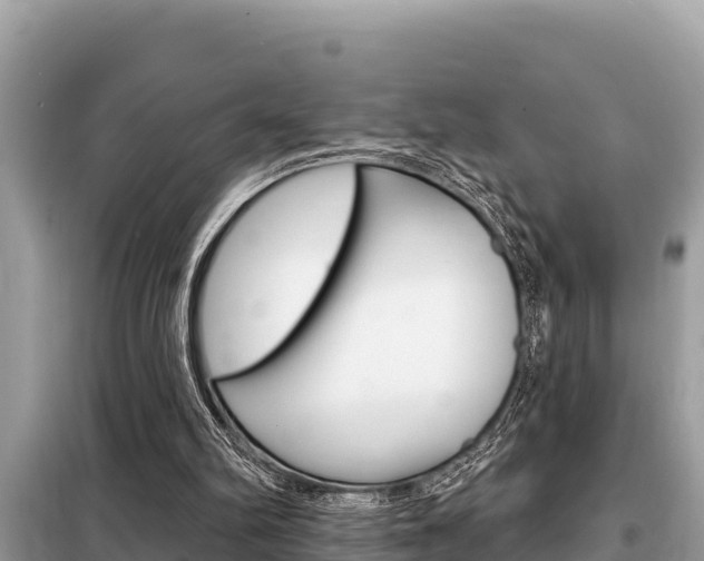 X0000099300102200805020806