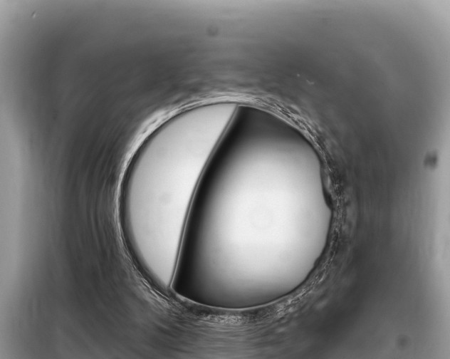 X0000099300104200805020806
