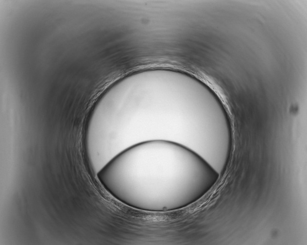 X0000099300105200805020806
