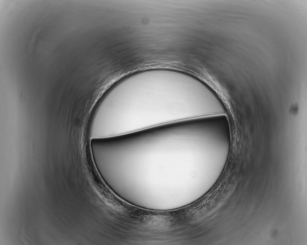X0000099300107200805020806