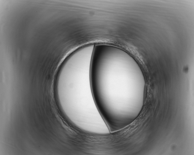 X0000099300108200805020806