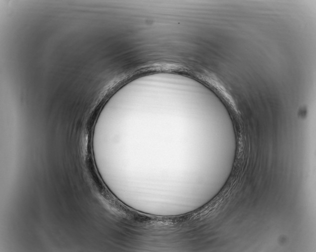 X0000099300110200805020806