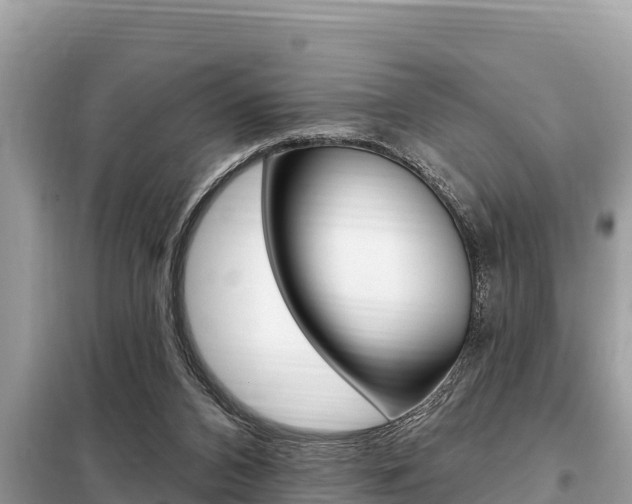 X0000099300112200805020806