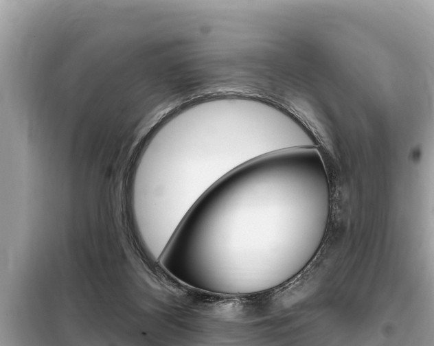 X0000099300116200805020806