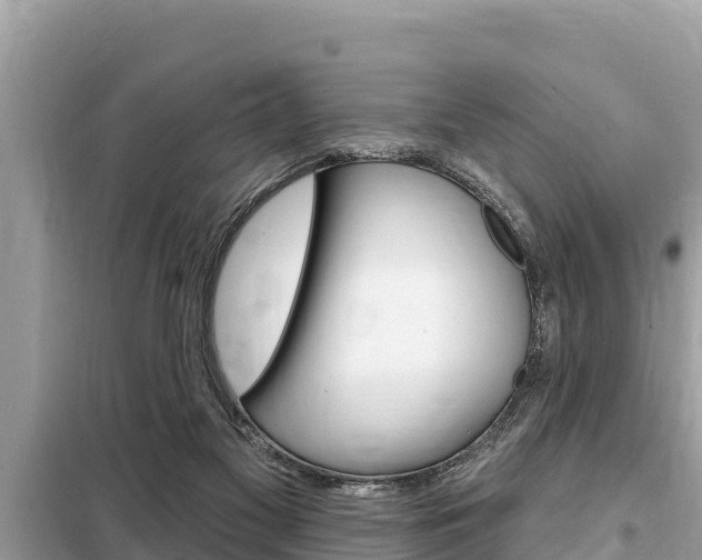 X0000099300117200805020806