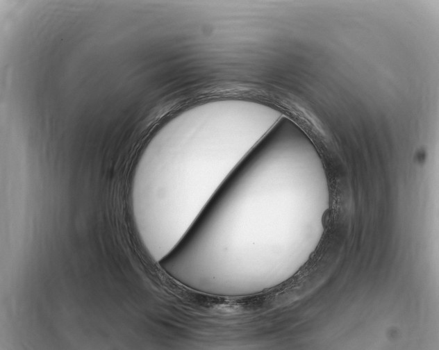 X0000099300119200805020806