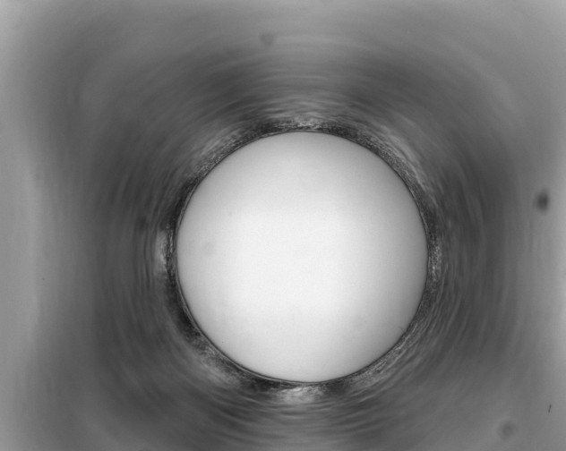 X0000099300122200805020806