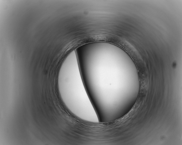 X0000099300124200805020806