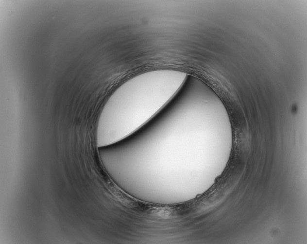 X0000099300127200805020806