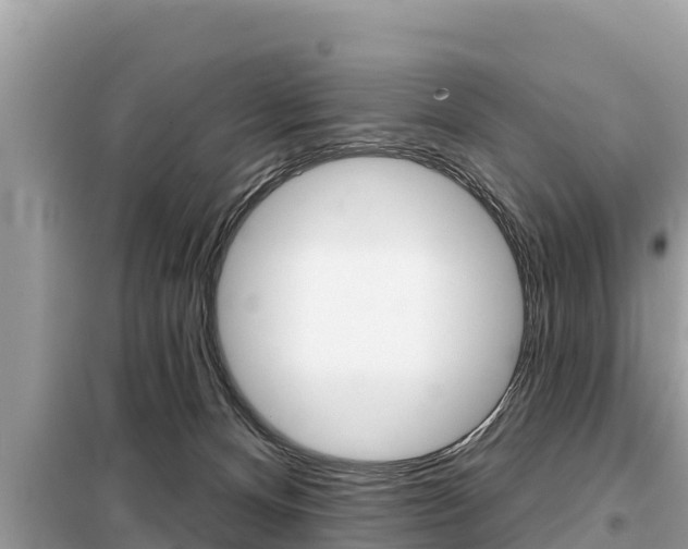 X0000099300128200805020806