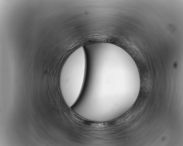X0000099300131200805020806