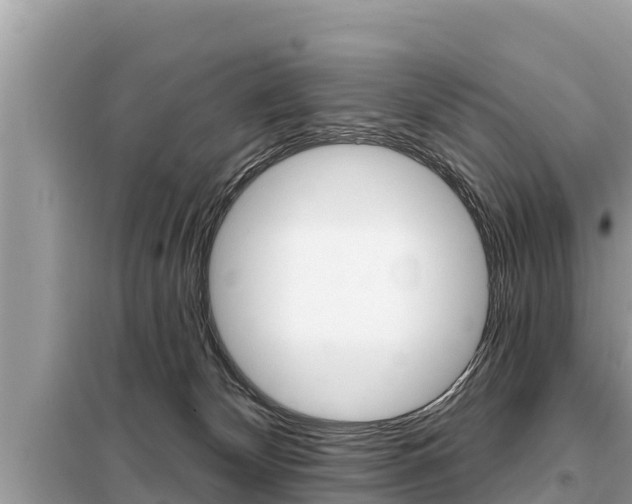 X0000099300132200805020806