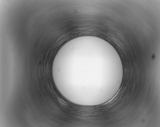 X0000099300136200805020806