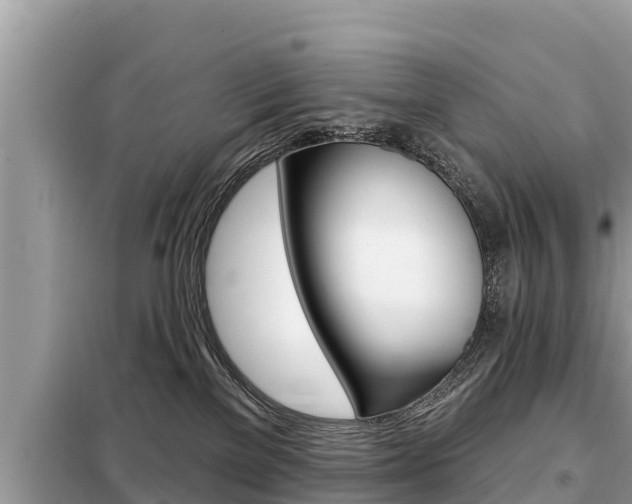 X0000099300137200805020806