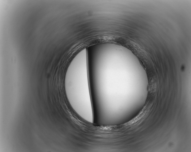 X0000099300140200805020806