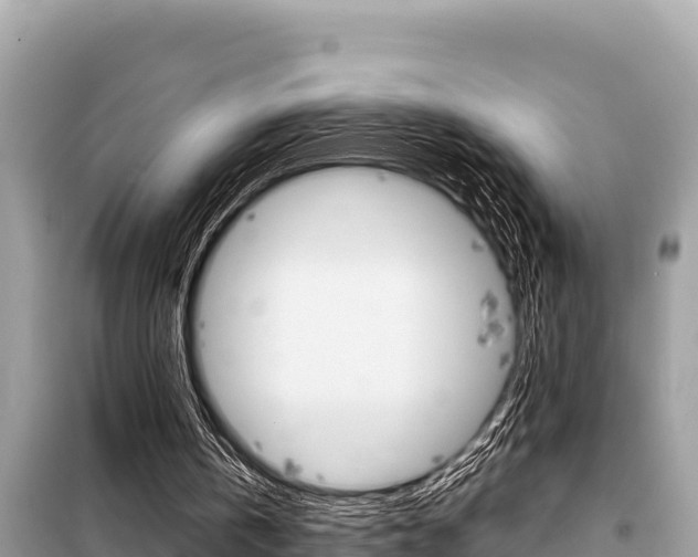 X0000099300146200805020805
