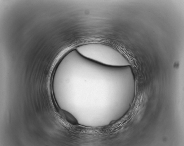 X0000099300147200805020805