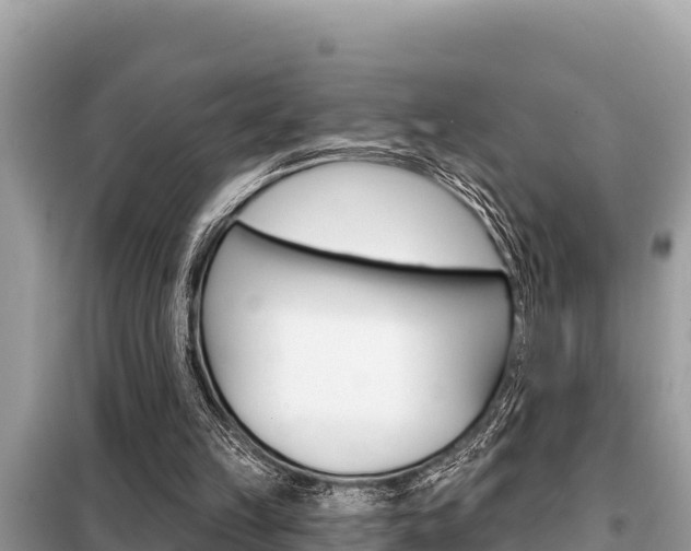 X0000099300149200805020805