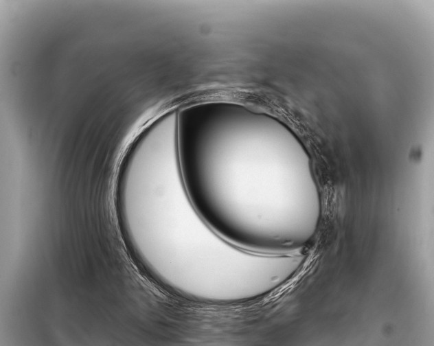 X0000099300150200805020805