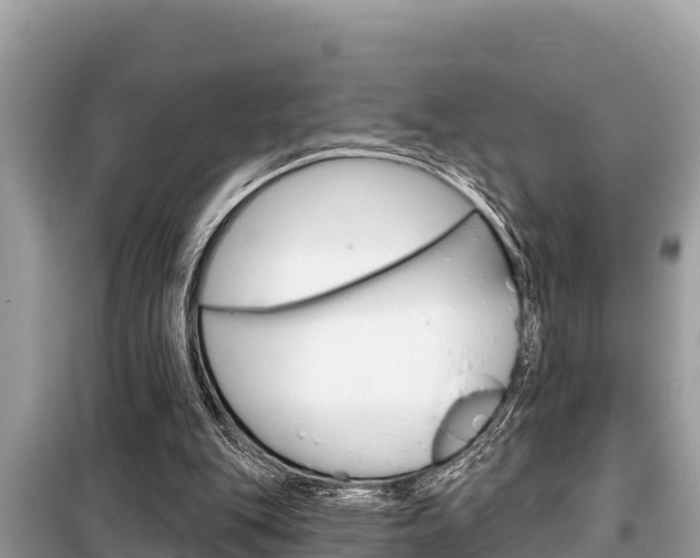 X0000099300151200805020805