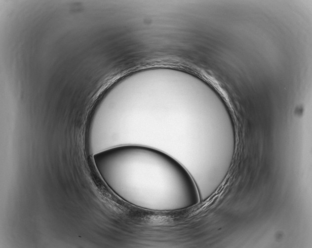 X0000099300154200805020805