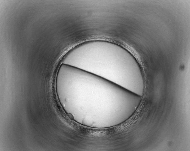 X0000099300155200805020805
