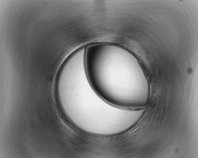 X0000099300156200805020805
