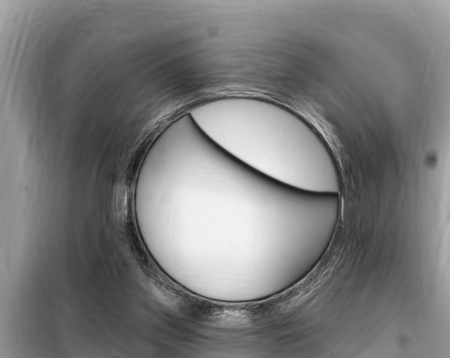 X0000099300157200805020805