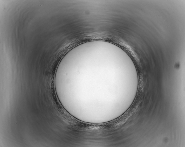 X0000099300161200805020805