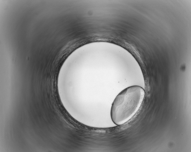 X0000099300162200805020805
