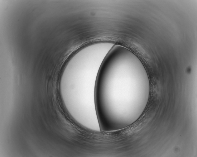 X0000099300164200805020805