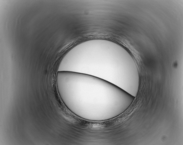 X0000099300165200805020805