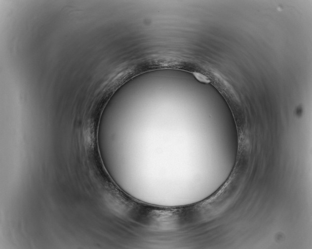 X0000099300170200805020805