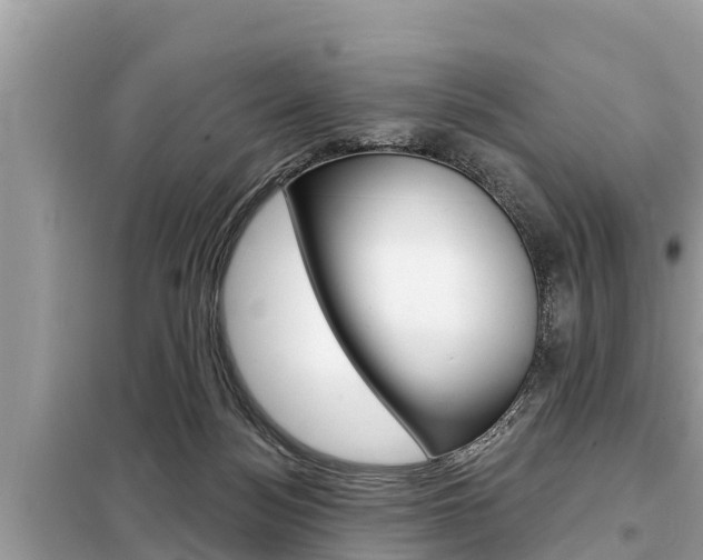 X0000099300172200805020805