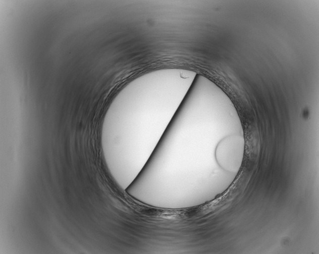 X0000099300175200805020805