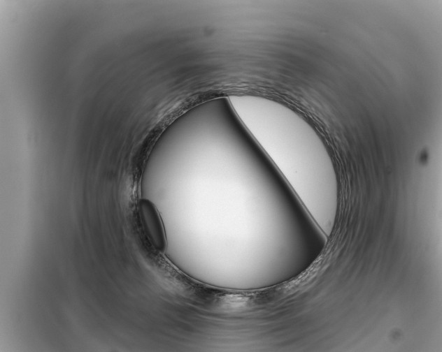 X0000099300176200805020805