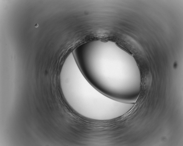 X0000099300180200805020805