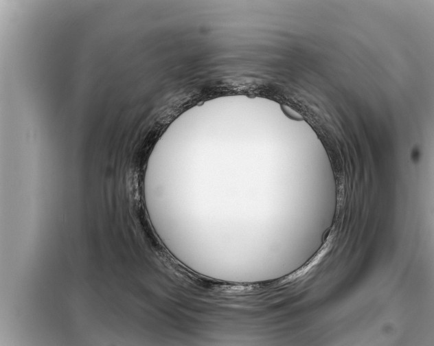 X0000099300182200805020805