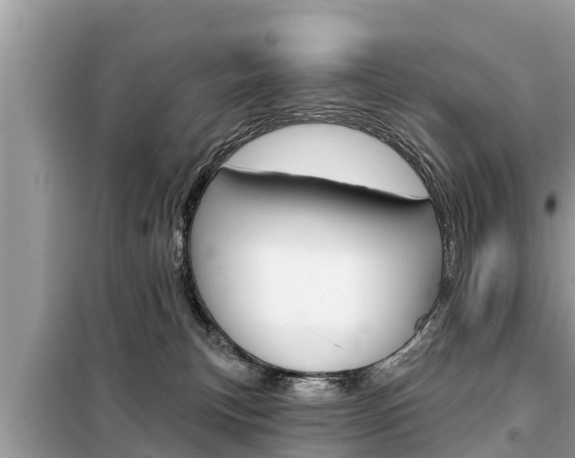X0000099300183200805020805