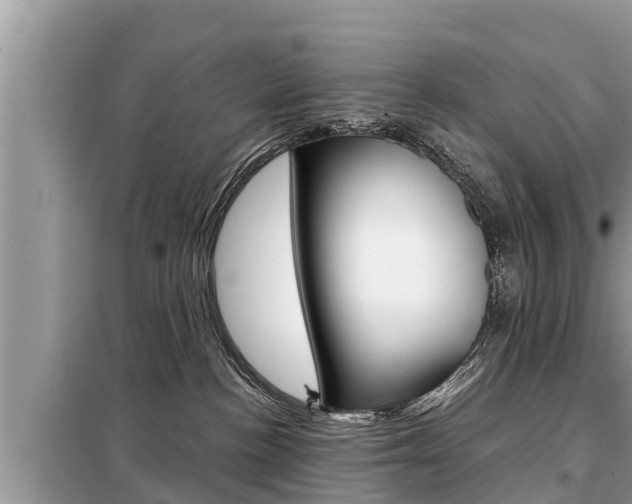 X0000099300188200805020806