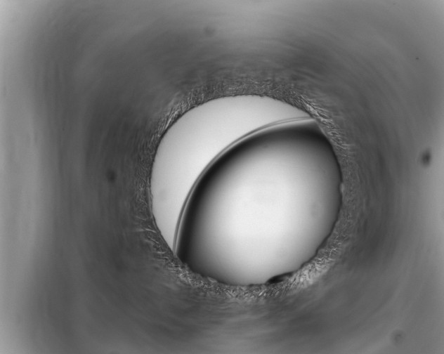X0000099300192200805020806