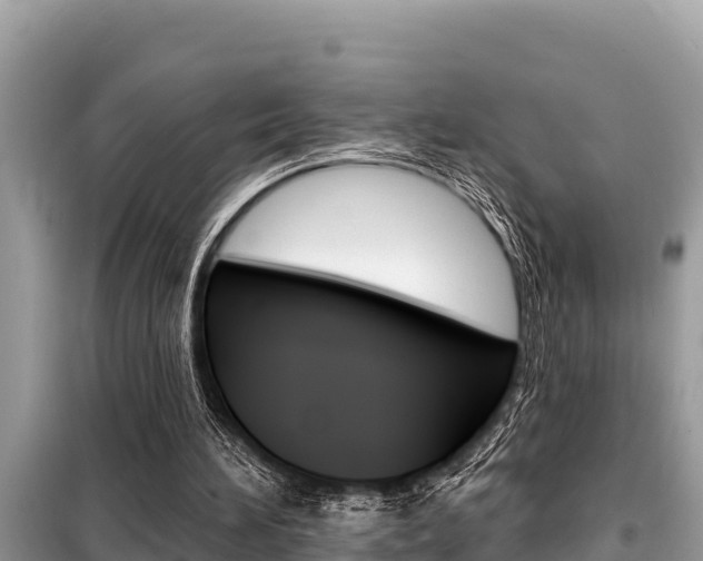 X0000099300196200805020805