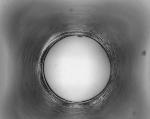 X0000099300198200805020805