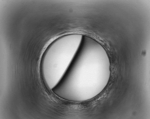 X0000099300200200805020805
